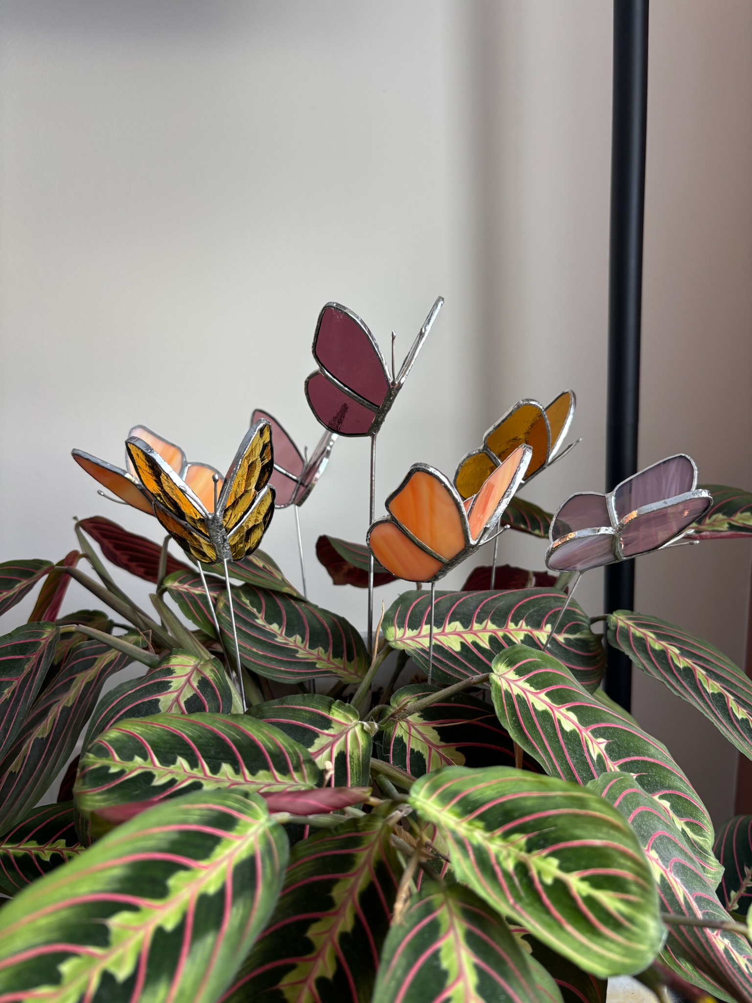 stained glass butterflies